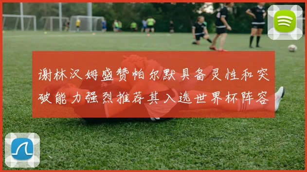 谢林汉姆盛赞帕尔默具备灵性和突破能力强烈推荐其入选世界杯阵容