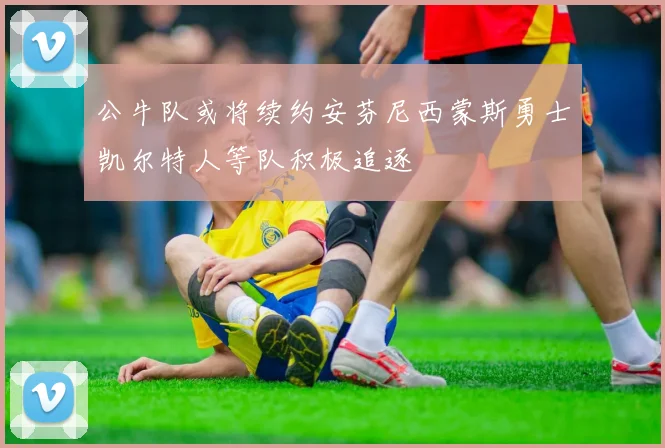 公牛队或将续约安芬尼西蒙斯勇士凯尔特人等队积极追逐
